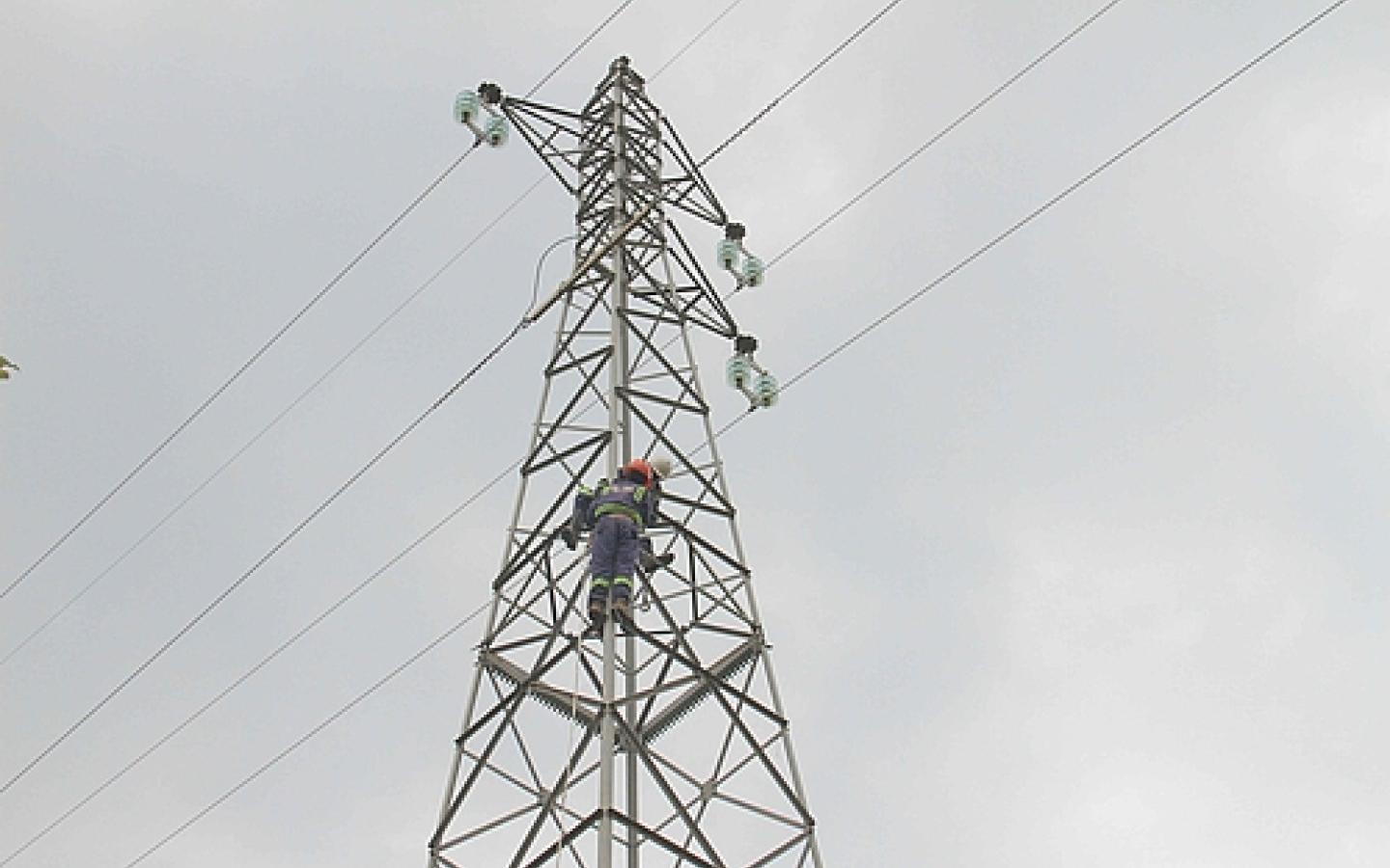 Around 198 thousand households were electrified during the year 2019/2020