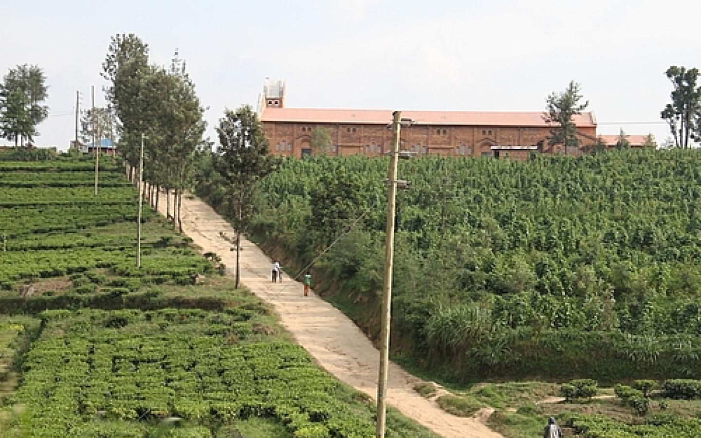 6136 households of Gicumbi were electrified in last year