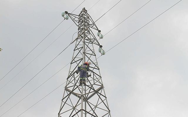 Around 198 thousand households were electrified during the year 2019/2020